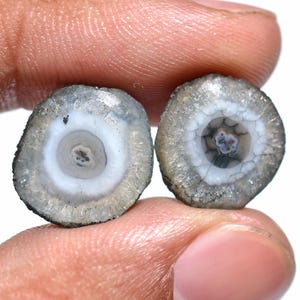 Grey Solar Quartz Gemstone Pair – Stalactite Slice Cabochons