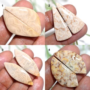 May include: Four sets of polished fossil coral cabochons. The cabochons are in various shapes, including leaf and teardrop, and display a range of colors from cream to tan with intricate patterns. These are ideal for jewelry making.