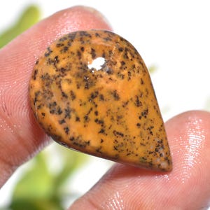 Può includere: Una gemma lucida a forma di goccia, con una calda tonalità arancione e inclusioni nere macchiettate. La pietra è tenuta tra le dita, mettendo in risalto la sua superficie liscia e lucida. Questa pietra unica potrebbe essere utilizzata per gioielli o come oggetto decorativo.