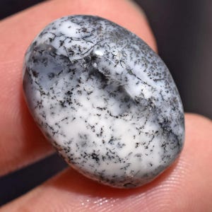 May include: An oval gemstone with a white base and detailed black and grey dendritic patterns. The polished surface reflects light, showcasing the natural textures. A unique, natural stone, suitable for jewellery or collecting.