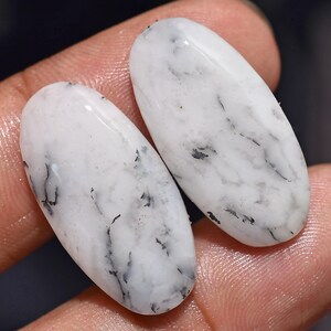 Op de afbeelding: Twee ovale witte edelstenen met zwarte adering. De gepolijste stenen worden in een hand gehouden, waarbij hun gladde, glanzende oppervlakken worden getoond. Deze edelstenen worden waarschijnlijk gebruikt voor het maken of verzamelen van sieraden.
