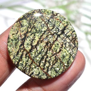 May include: A round, polished gemstone with a unique pattern. The stone features a base of light green with black, brown, and white veining throughout. The surface is smooth and reflective, showcasing the natural variations in color and texture.