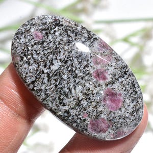 May include: An oval-shaped gemstone with a speckled gray and black pattern. Embedded within the stone are several vibrant, deep pink ruby inclusions. The polished surface reflects light, highlighting the natural textures and colors of the stone.