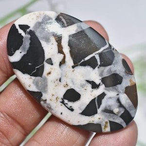 May include: An oval-shaped gemstone with a striking pattern of black, white, gray, and brown. The stone's surface is a mosaic of irregular shapes and lines, creating a unique and natural design. The polished finish enhances the colors.