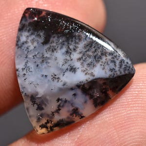 May include: A polished, triangular gemstone with a dendritic pattern. The stone features a mix of white, gray, and black colors, with the black areas resembling tree-like formations. The surface is smooth and glossy, reflecting light.