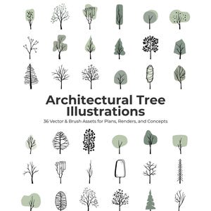 36 Tree Illustrations for Architecture & Landscape – Clipart Pack | PNG, SVG, AI, Brushes
