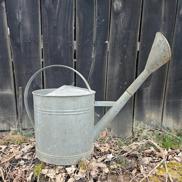 Grand arrosoir vintage en zinc | Arrosoir en métal galvanisé | Arrosoir de jardin ultra-résistant XL à bec long, 14 litres | Gris argenté patiné