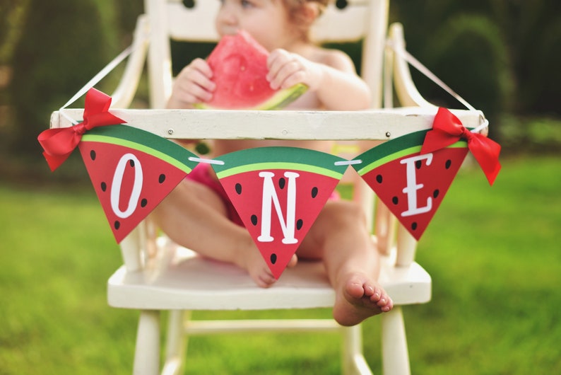 One in a Melon Party Decor Name Banner Watermelon Banner Watermelon First Birthday One in a Melon Banner Watermelon Theme