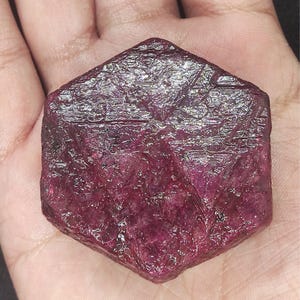 Op de afbeelding: Een ruwe, ongeslepen robijn edelsteen met een dieprode kleur. De robijn heeft een zeshoekige vorm en een getextureerd oppervlak, met natuurlijke lijnen en onvolkomenheden. De edelsteen wordt in een hand gehouden, wat de grootte en kleur benadrukt.