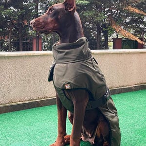 Cappotto invernale impermeabile per cani di grossa taglia 3XL–7XL, cachi, rosso, nero, blu navy, caldo cappotto per cani di grossa taglia, abbigliamento per animali domestici