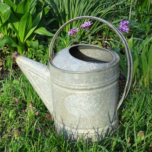 Vintage Galvanized Shabby Chic Steel Metal Large Watering Can, French Arching Handle, Outdoor Gardening Tool, Holds Water