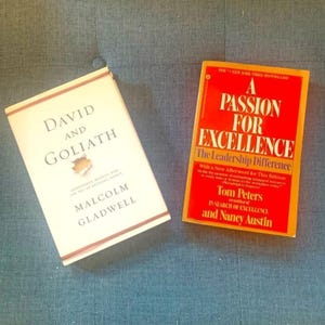 Set 2 Motivations-/Leadership-Bücher für Business