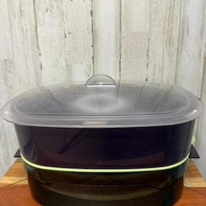 May include: A dark purple and black food steamer with a clear lid. The steamer has a light green band around the middle and is sitting on a wooden surface. The lid has a small, clear handle.