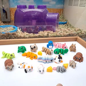 May include: A collection of colorful polymer clay animal figurines, including a frog, pug, and hedgehog, arranged on a white surface. A purple plastic structure and a blue ring are in the background, suggesting a pet habitat. The figurines are approximately 1-2 inches in size.