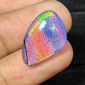 Può includere: Una gemma lucida con un vivace motivo multicolore che ricorda una foglia. I colori vanno dal verde al giallo, all'arancione, al rosso e al viola, con strutture nere simili a venature. La pietra è tenuta tra le dita.