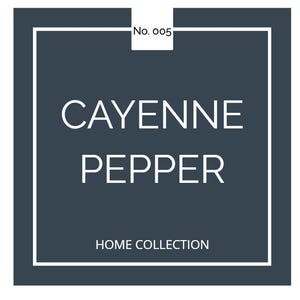 Modern Minimalist Spice Jar Labels – Digital Printable Pantry Organization Template – Customizable Canva PDF 2.5 inch