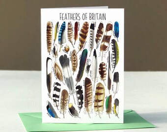Best Wishes Feather Postcard A6 High Quality Print on smooth 350gsm Matt or 255gsm Gloss Card.