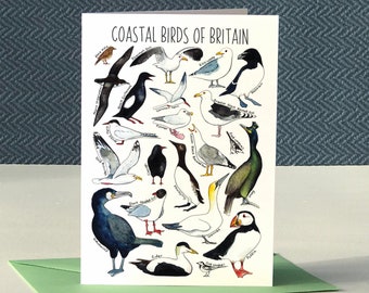 Coastal Birds of Britain Greeting Card, puffin poster, seagull card, bathroom, Wildlife Print, blank card, WPC08