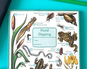 Pond dipping notepad - Pond hunting journal