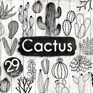 Cactus Clipart Hand Drawn Cactus Clipart Vector Cactus Art - Etsy