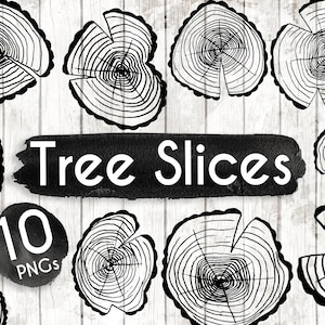 Tree Slices Clipart - 10 Hand Drawn Tree Slices Cliparts - Tree Logo Art - Log Slices Logo Elements - Tree Stump Illustration - 75