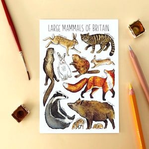 Large Mammals of Britain Watercolour Postcard image 1