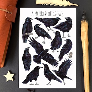 Crows watercolour postcard - Murder of Crows postcard notelets