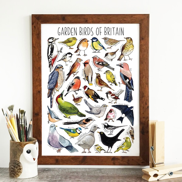 Ultimate Garden Birds Print