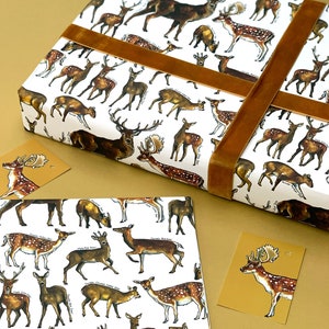 Papel de regalo de ciervo y ciervo - Papel de regalo de cumpleaños de ciervo - Papel de regalo de cumpleaños infantil