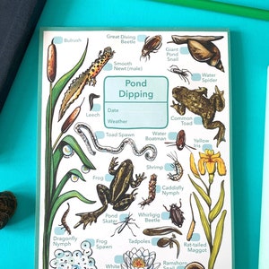 Pond dipping notepad - Pond hunting journal
