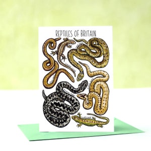 May include: A white card with the text "REPTILES OF BRITAIN" at the top. The card features illustrations of different reptiles found in Britain, including a sand lizard, common lizard, smooth snake, grass snake, and adder.