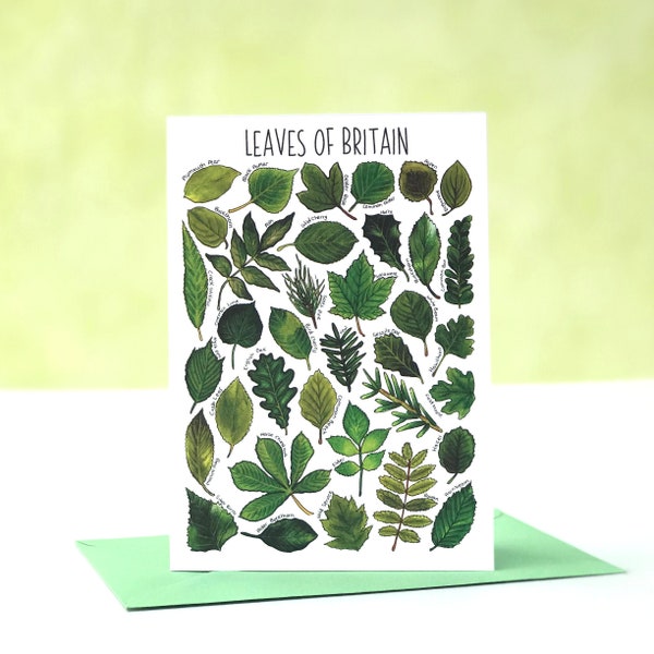 Leaves of Britain Greeting Card, Leaf poster, Trees card, Nature print, Nursery, Wildlife Print, Forest Illustration, art, WPC04