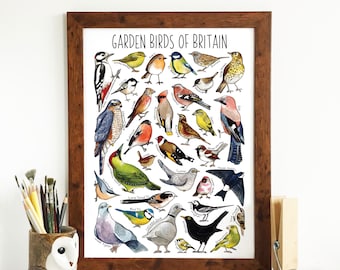 Ultimate Garden Birds Print