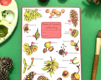 Nuts & Seeds collecting notepad - nature walk journal