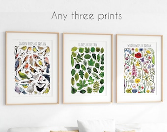 British Wildlife trio of Prints - Choose any three prints