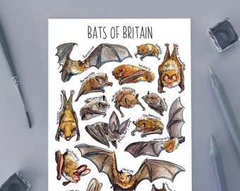 Bats of Britain Watercolour Postcard