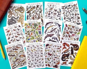 May include: A set of 10 illustrated postcards featuring various wildlife found in Britain. The cards are white with black outlines and feature colorful illustrations of animals, birds, insects, and plants. The cards are arranged in two rows of five, with the titles of each card visible at the top.