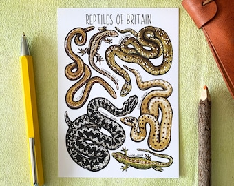 Reptiles of Britain Watercolour Postcard