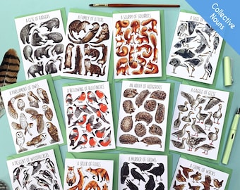 Wildlife Greeting Card Pack of Twelve - Collective Nouns wildlife