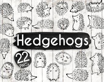 Hedgehog Clipart - 22 Hedgehog Doodle Clip art - Hedgehog card - Woodland Clip art - Woodland Invitation - Hedgehog PNG - 91