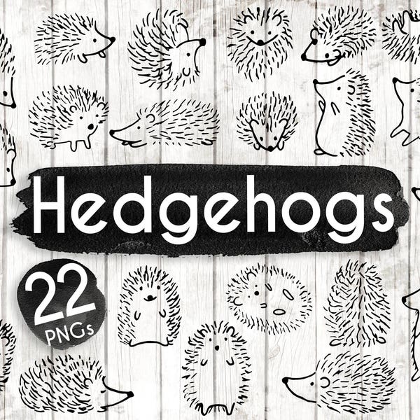 Hedgehog Clipart - 22 Hedgehog Doodle Clip art - Hedgehog card - Woodland Clip art - Woodland Invitation - Hedgehog PNG - 91