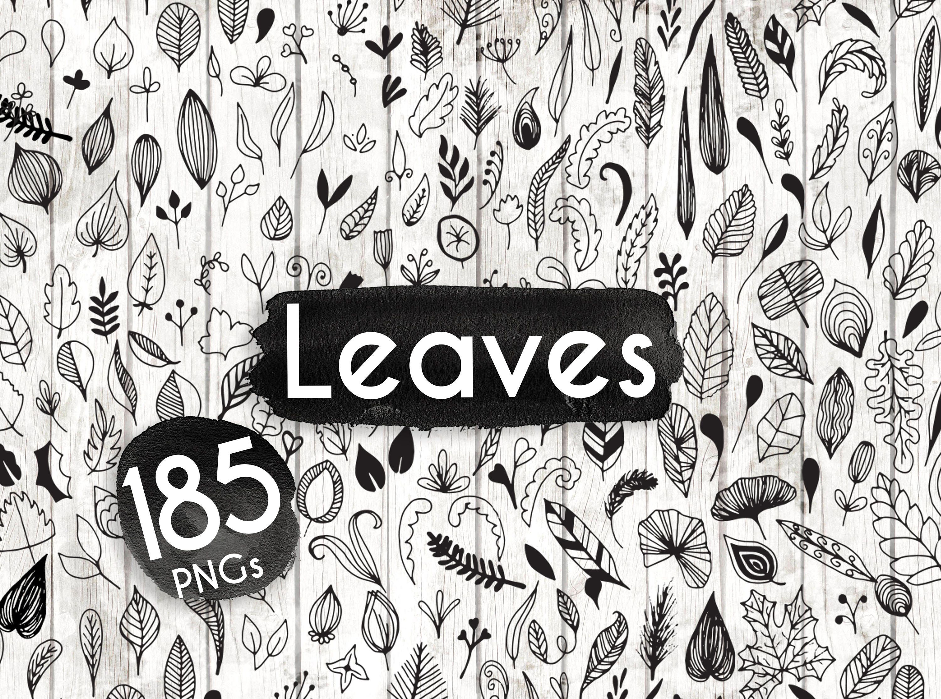 Download 185 Hand Drawn Leaf Cliparts Botanical Logo Elements