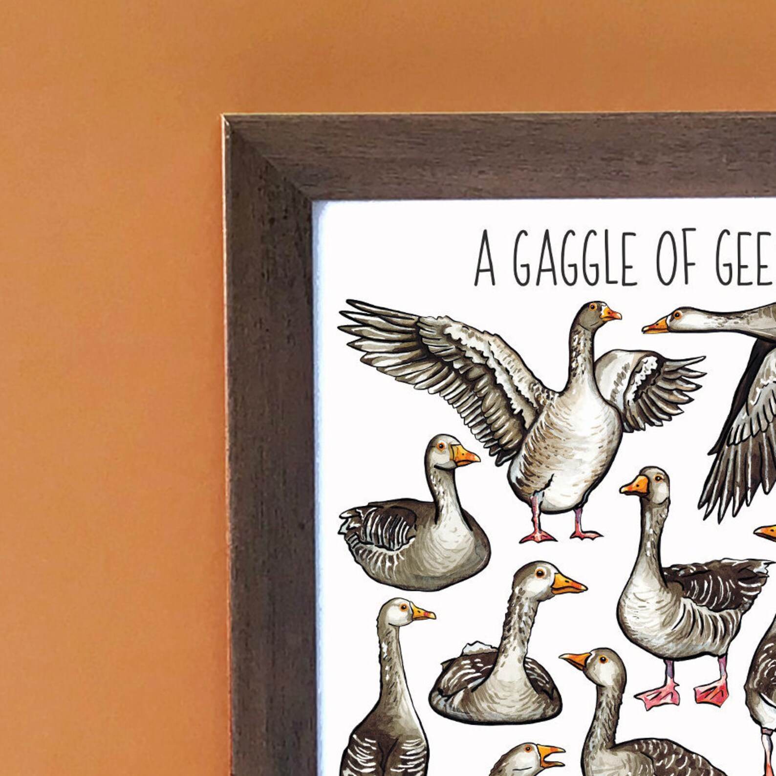 A Gaggle Of Geese Collective Nouns Nouns Words vrogue.co