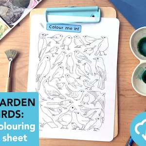 Feuille à colorier Oiseaux du jardin - Espèces d'oiseaux éducatives à imprimer