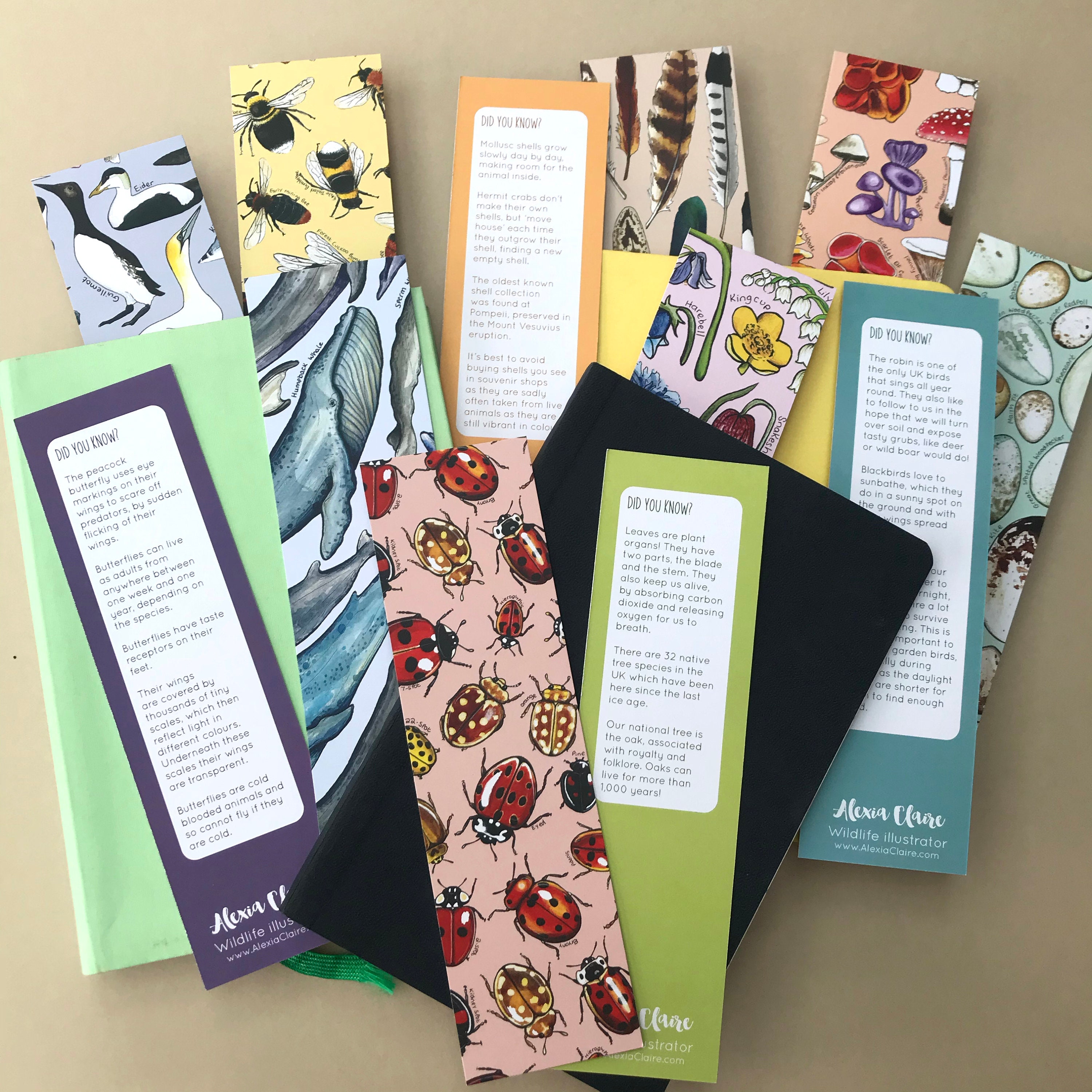 British Wildlife Bookmarks Set of 12 Fun Wildlife Facts Etsy UK