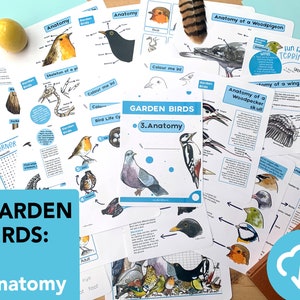 Paquete de estudio de la naturaleza de la anatomía de las aves del jardín - aves educativas imprimibles - educación en el hogar - Tarjetas didácticas de aves