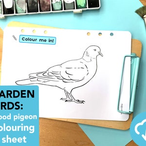 Feuille à colorier Oiseaux du jardin - Espèces d'oiseaux éducatives à imprimer
