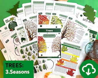 Tree Seasons Nature Study Pack - educational Trees printable - home education