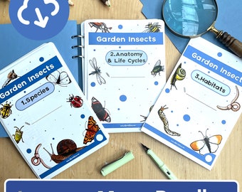 Mega Bundle Garden Insects Nature learning - Three studies in one - Bug species, Life cycles, facts and anatomy, Habitats