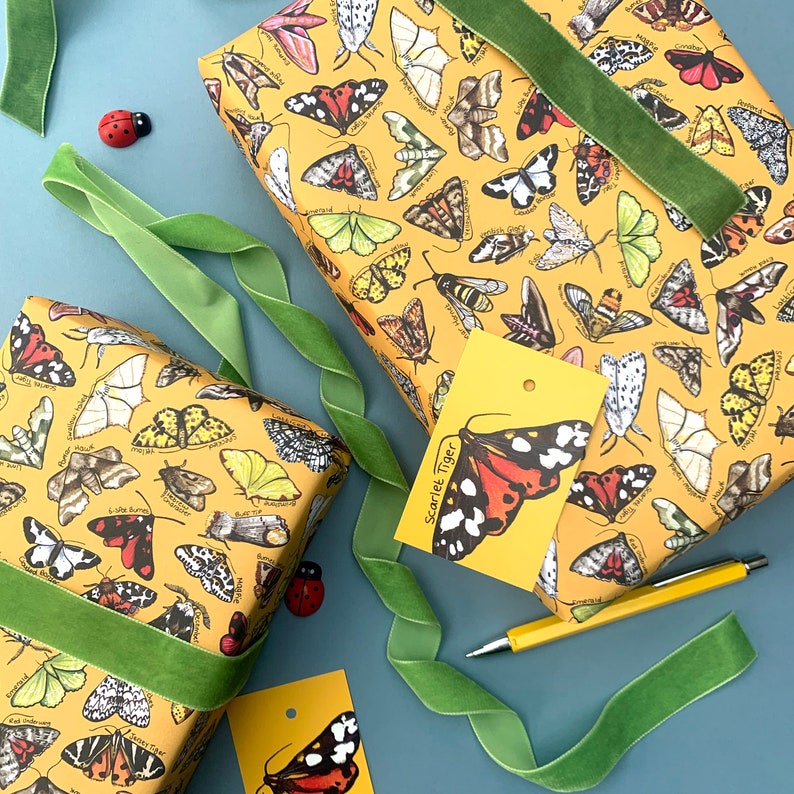 Moths Wrapping Paper watercolour wildlife birthday gift wrap image 2